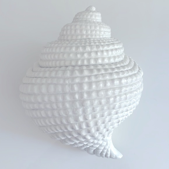 EUC Torre & Tagus Large White Resin Conch Shell Decor Accent - Picture 2 of 11